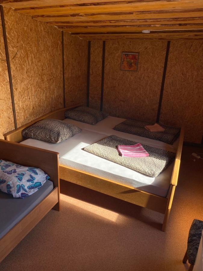 Viesu Maja Arnicani Ragaciems Exteriör bild